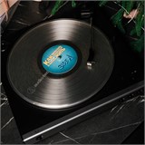 Виниловая пластинка «как перестать беспокоиться и начать жить» (лимитированный тираж) 10101